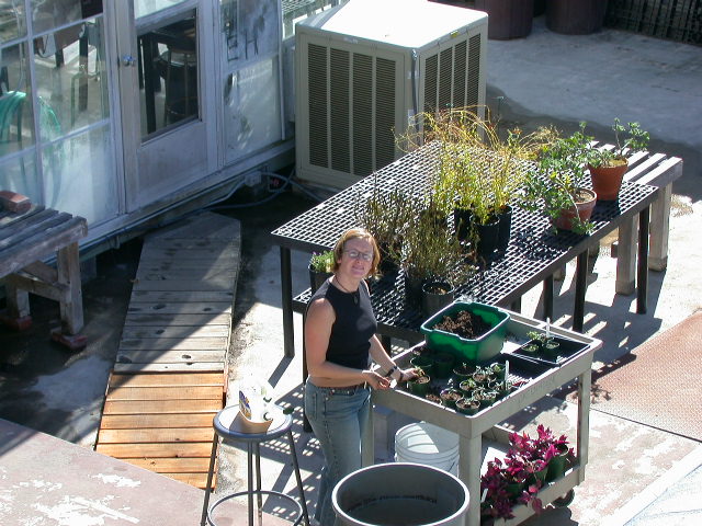 Intern repotting